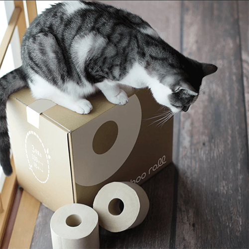 #299 少し先の未来にデザイナーとして貢献したい（後藤亜由美さん）