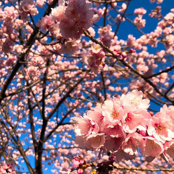 #301 デジタルファーストで書籍と向き合いたい（馮 富久さん）