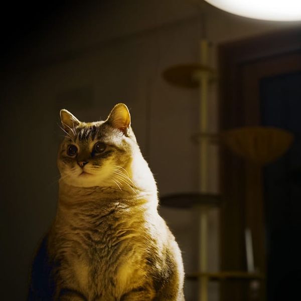 #347 要望の意図を知るとデザインが変わる（阿部 文人さん）