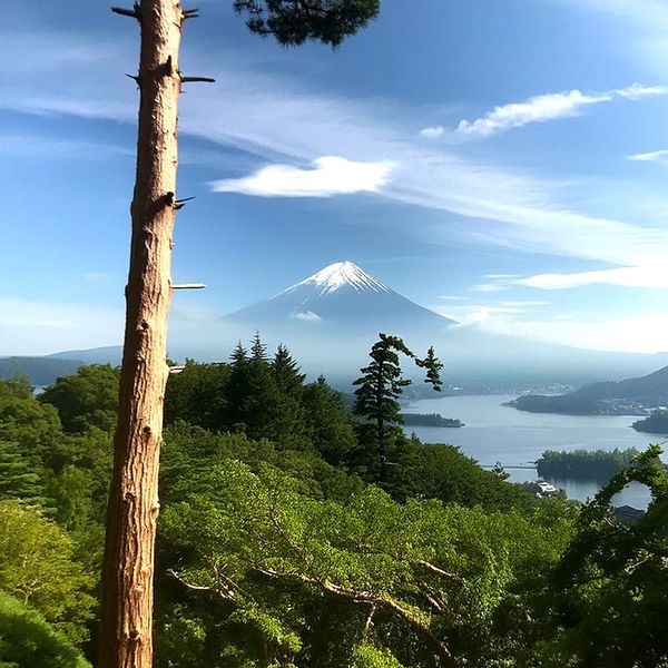 #352 技術が分かっていないと良いデザインは作れない（Hisako Shirasakiさん）