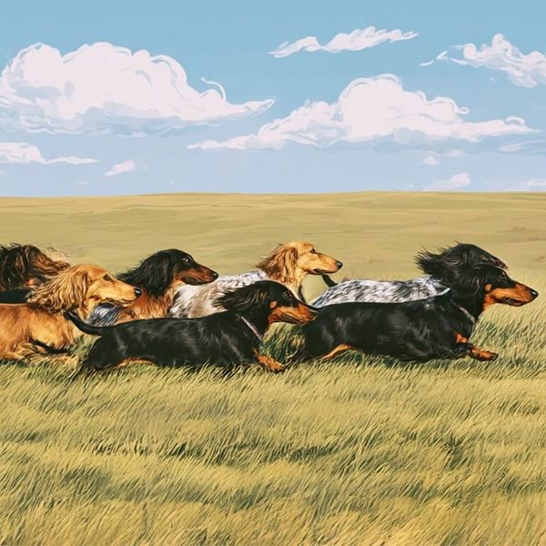 #372 AIもデザインシステムも銀の弾丸ではない（sakitoさん）