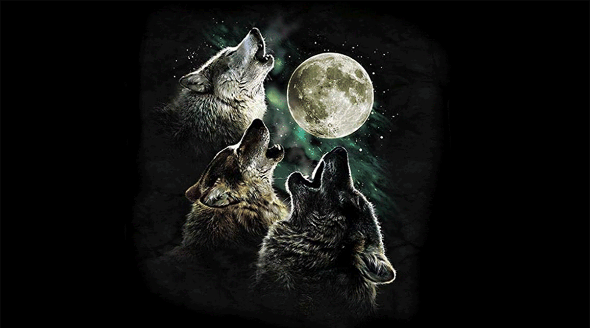 The Mountain Men’s Three Wolf Moon