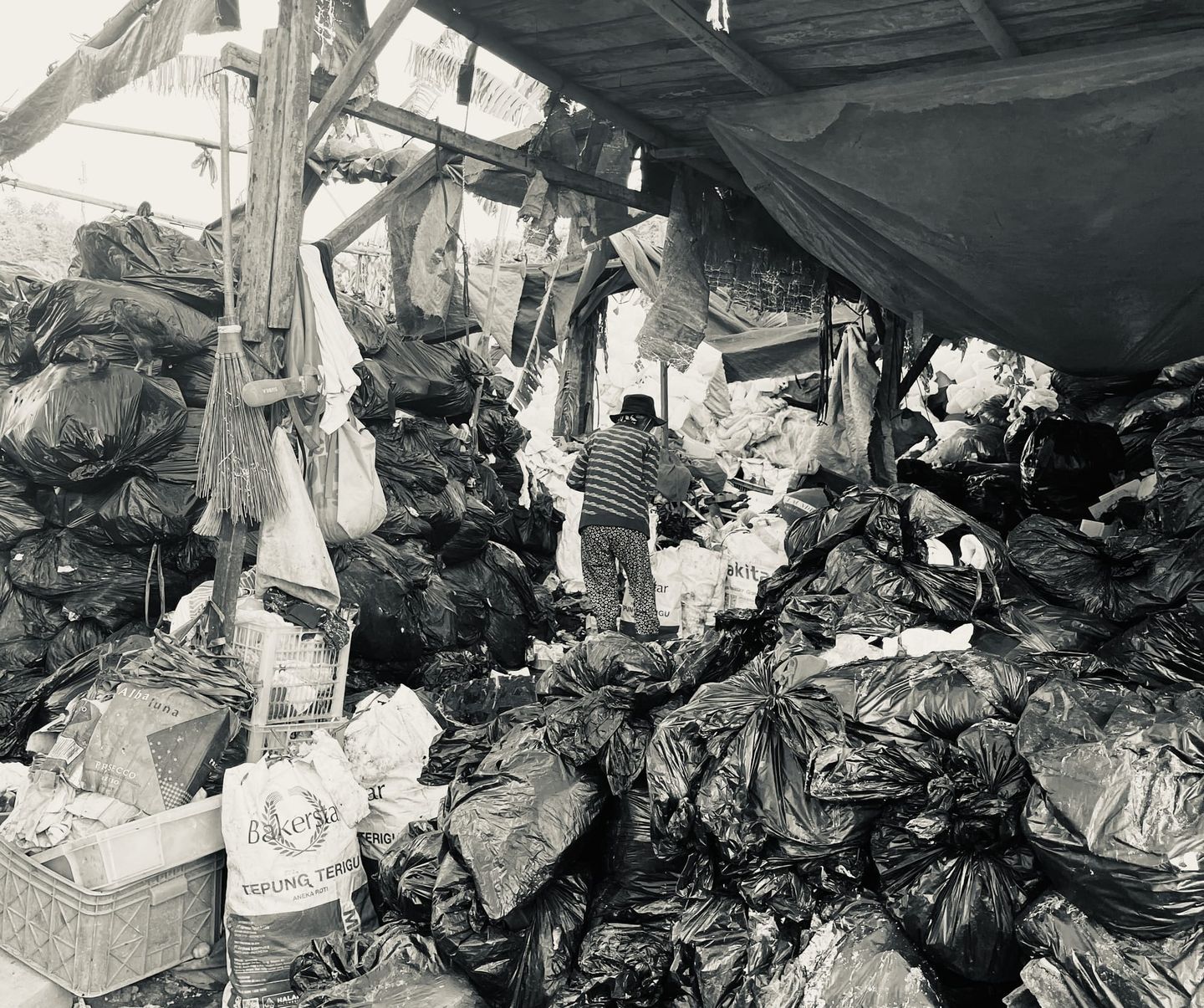 The Planetary Cost of a Mass Consumption Society