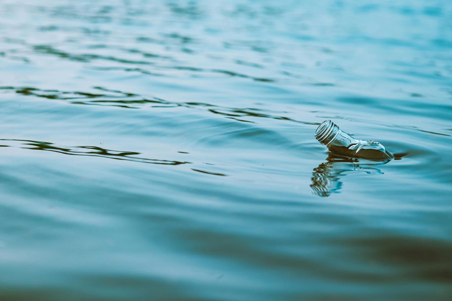 海を覆うプラスチック、見えない損失の正体とは？