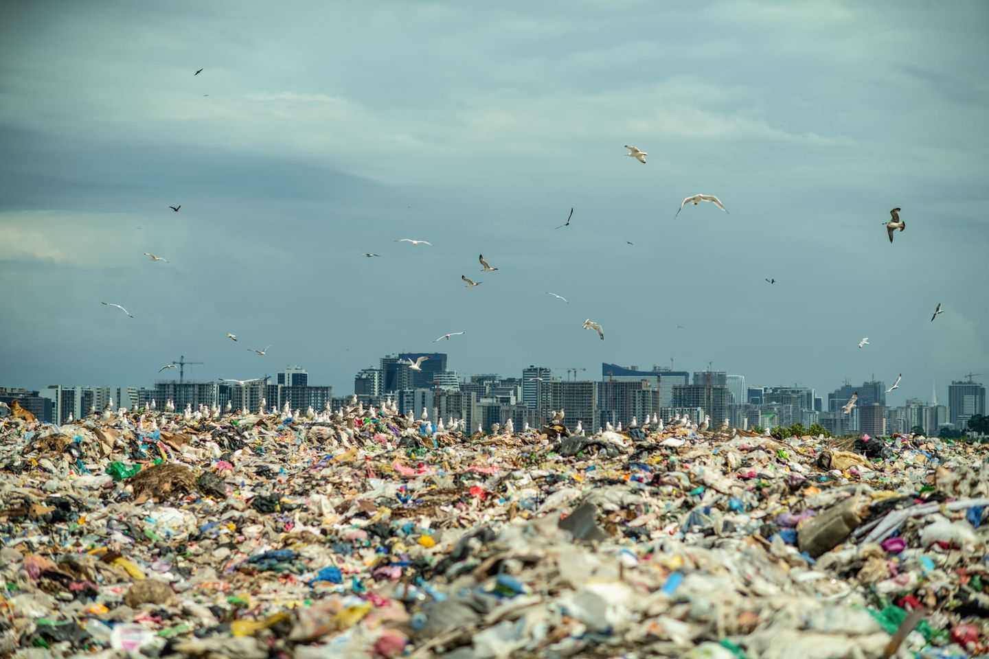 Designing Plastics That Never Reach the Sea