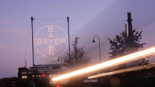 Bayer-Aktie im Aufwind: Agrarstrategie sorgt für neuen Optimismus