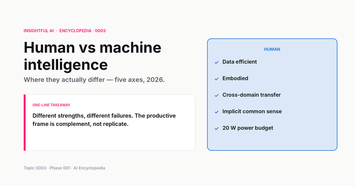 Human vs machine intelligence: where they actually differ