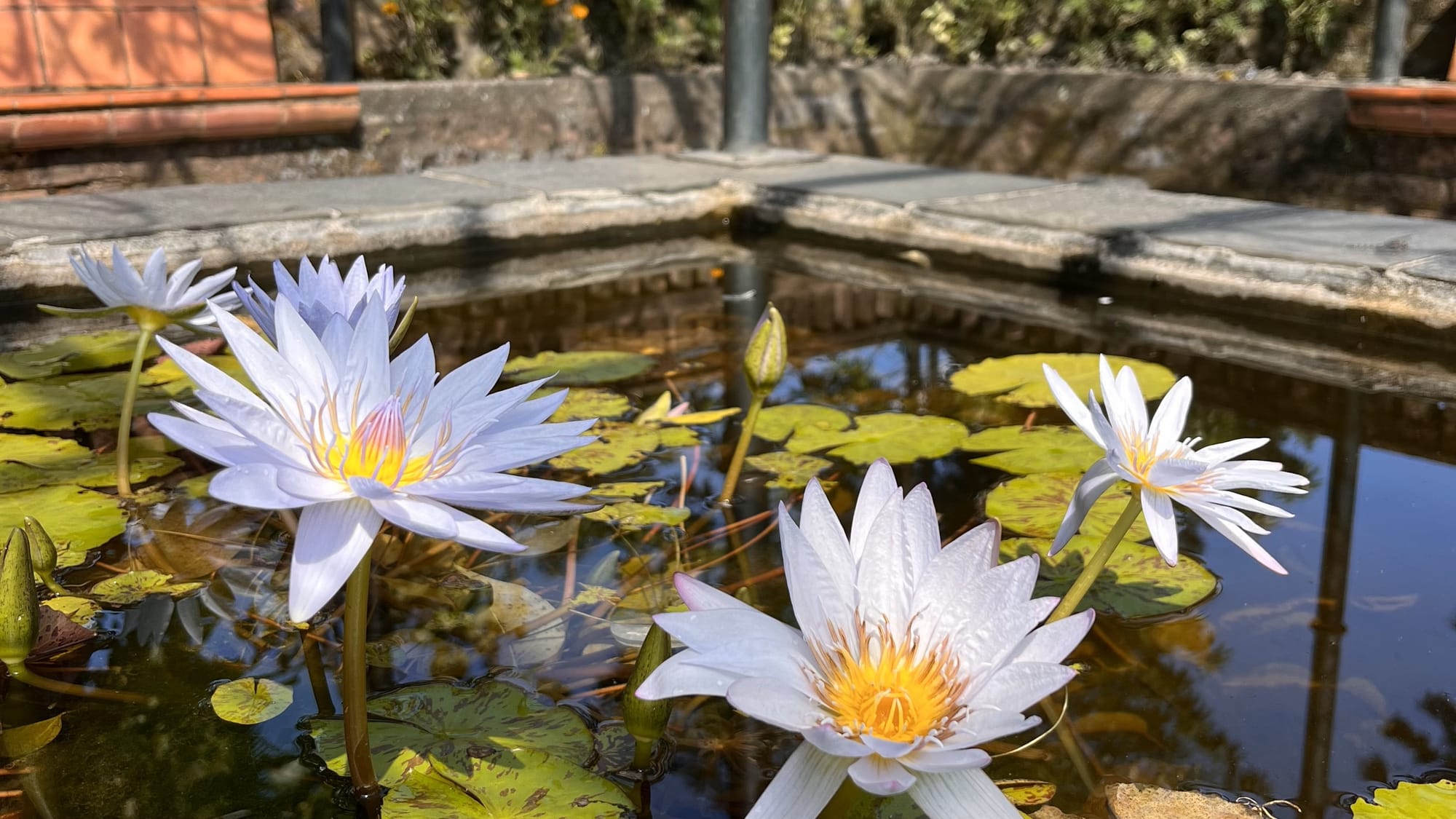 Nepal’s Garden of Dreams: An Oasis Time (and the Times) Forgot