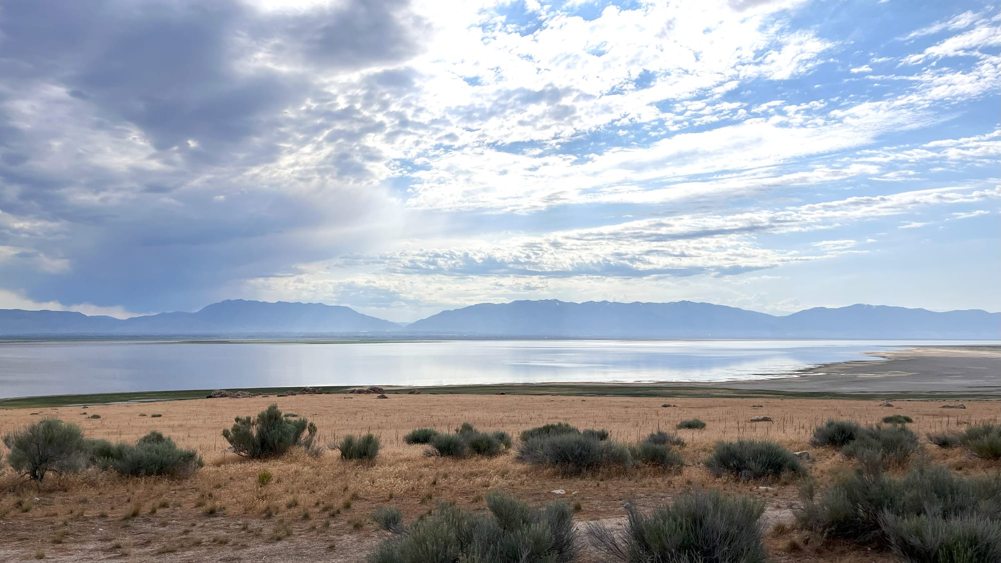 Why Antelope Island State Park is Worth the Buzz