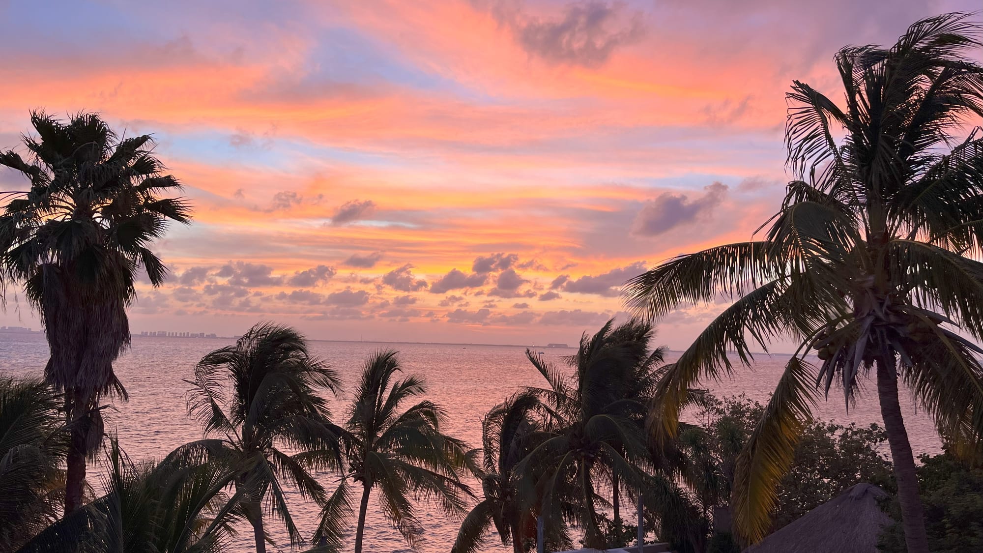 Palm trees in silhouette, calm ocean water, sunset sky in shades of pink, peach, and orange mixed with blue 