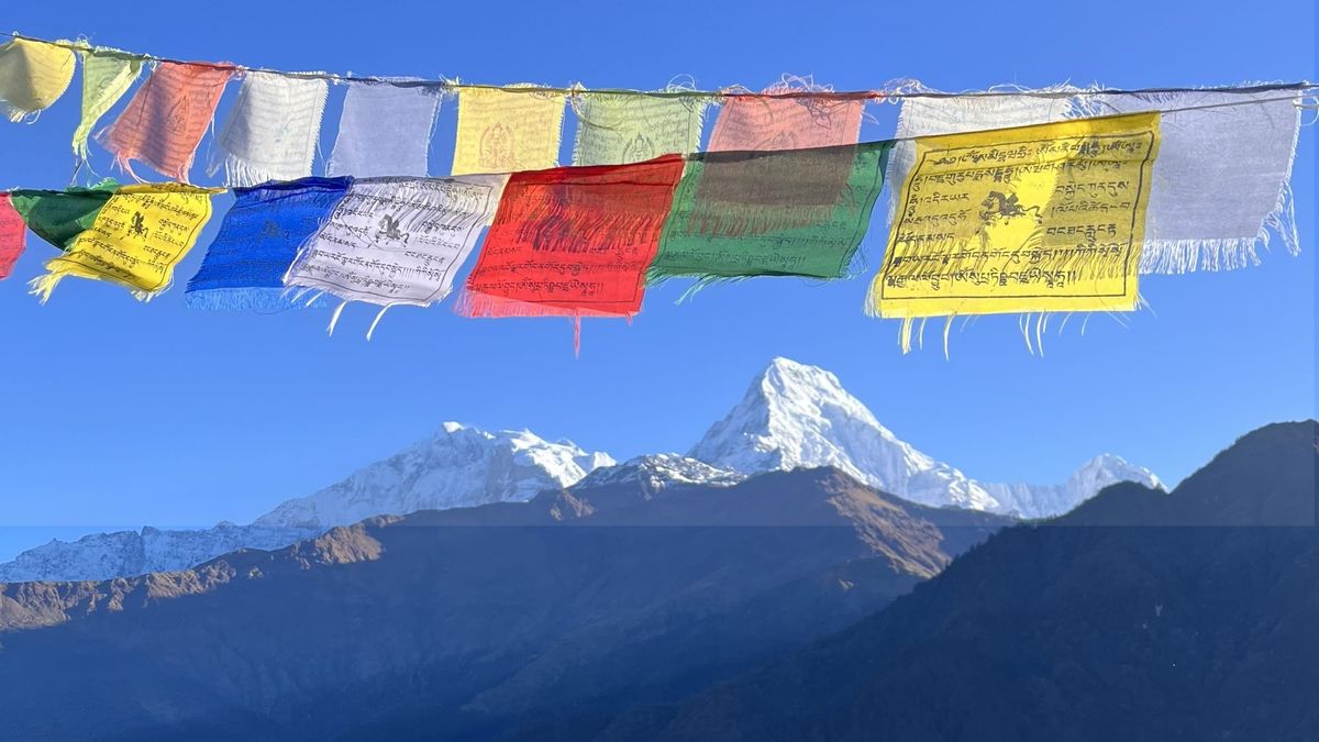 Red, green, blue, yellow, and white Tibetan prayer flags across a clear blue sky above snow-capped mountains in Nepal’s Annapurna range of the Himalayas. © Laura Pevehouse