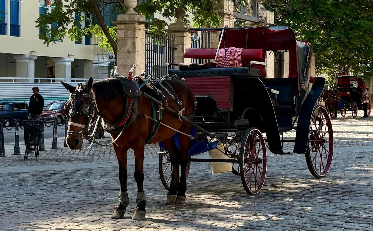 Dancing Through Havana: How to Travel to Cuba as an American Post feature image