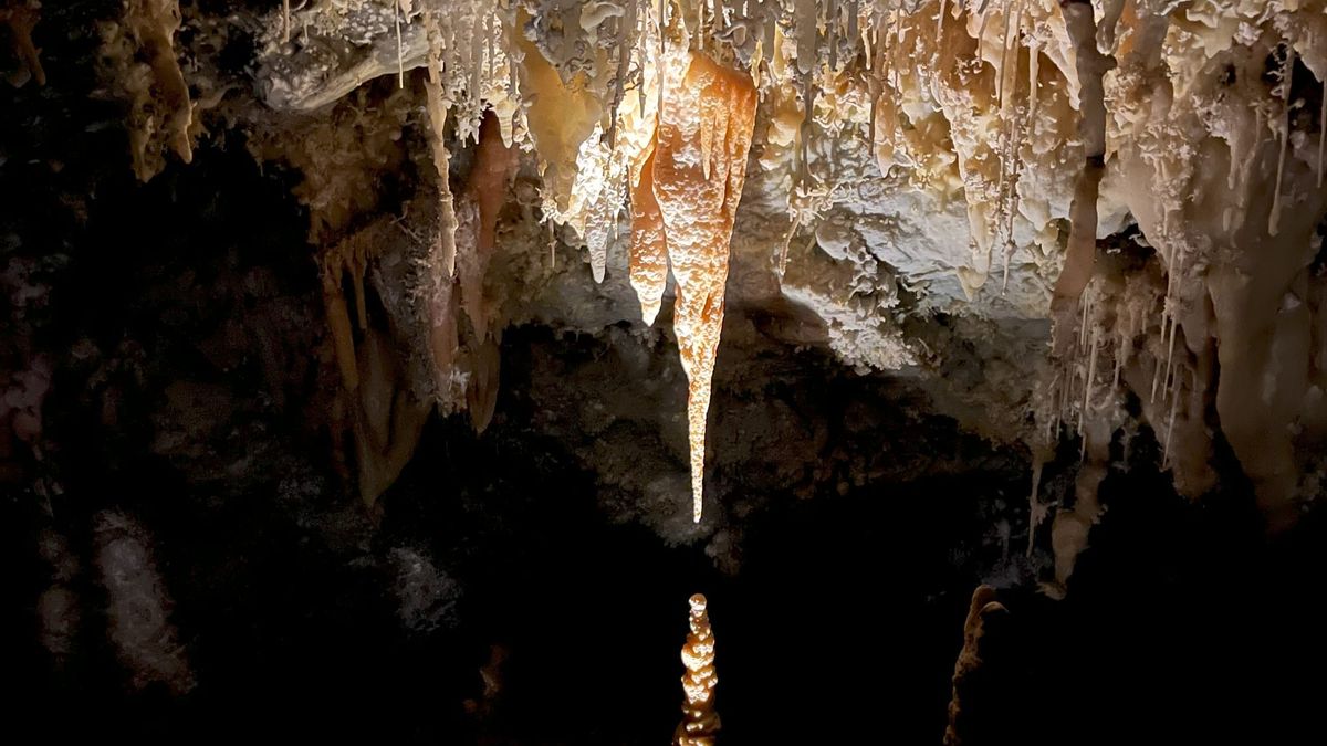 Multiple cave formations lit up in shades of white, cream, and pale orange hang down from the ceiling of a dark cave.