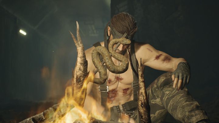 METAL GEAR SOLID Δ: SNAKE EATER [Review]