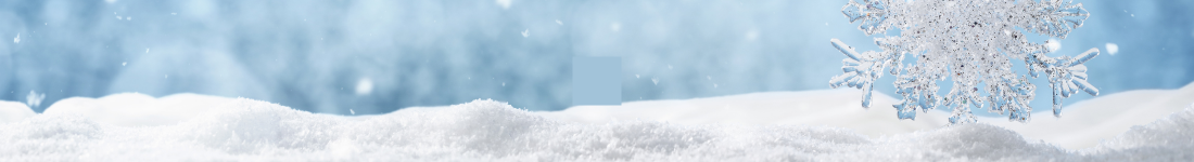 Winter landscape illustration