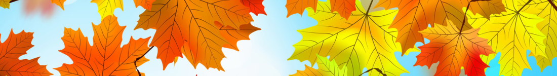 Fall leaves illustration divider