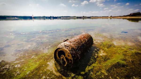 The Plunge Into Unpolluted Waters