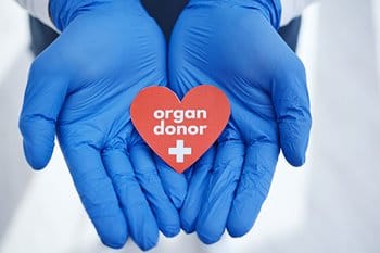 Organ donor