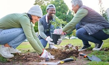 People planting trees