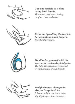 Testicular cancer self exam