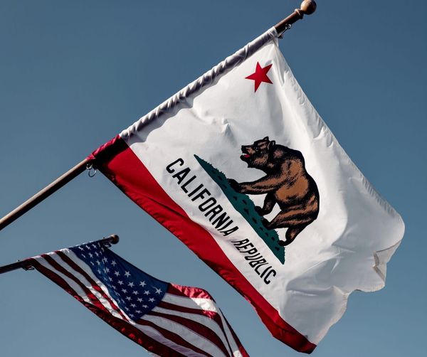 🗞️ Labor Unions Donate Massively to Newsom's Proposition 50