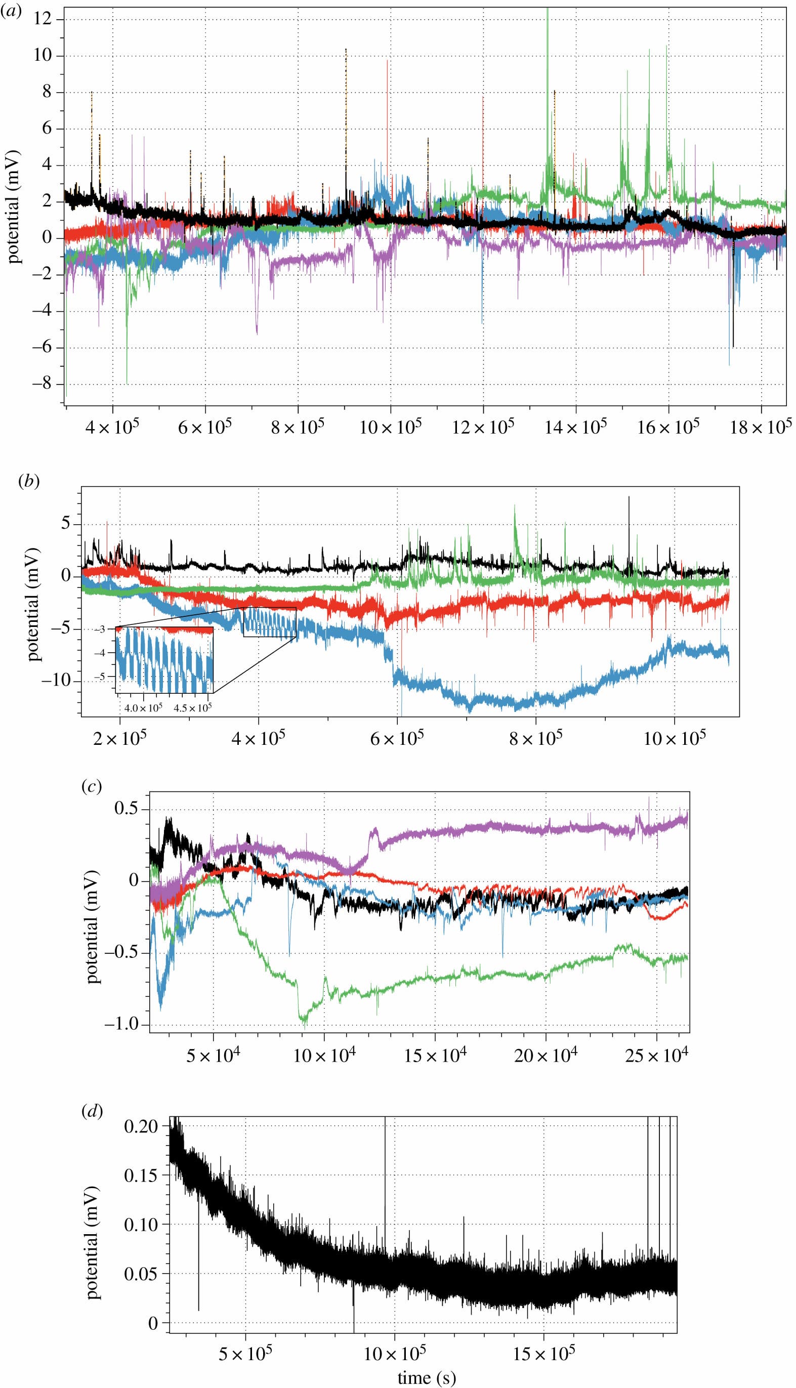 計測された電気活動の例。