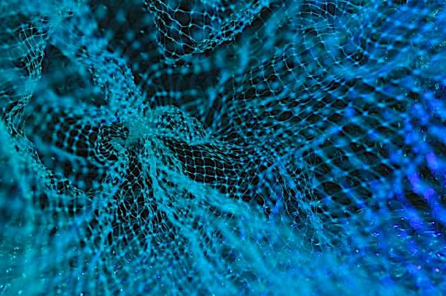 なぜ深層学習は次元の呪いを乗り越えるのか？
