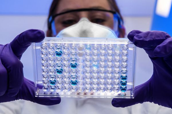 拡大する創薬とAIの融合