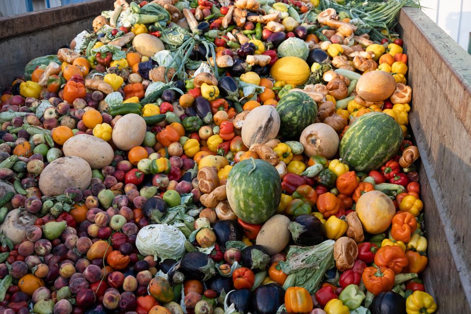 Beyond the Bin: How to Reduce the Climate Impact of Food Waste