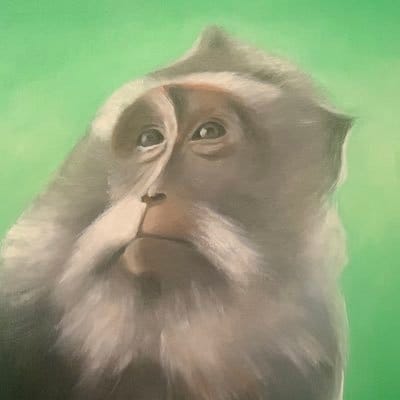 Connor Dempsey profile image