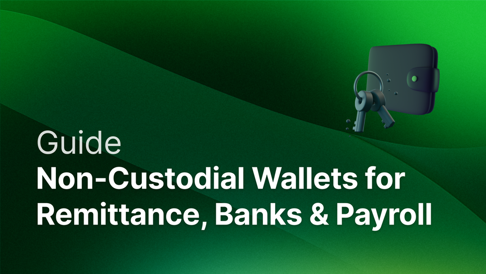 Non-Custodial Wallet Guide for Remittance, Banks & Payroll Companies post image