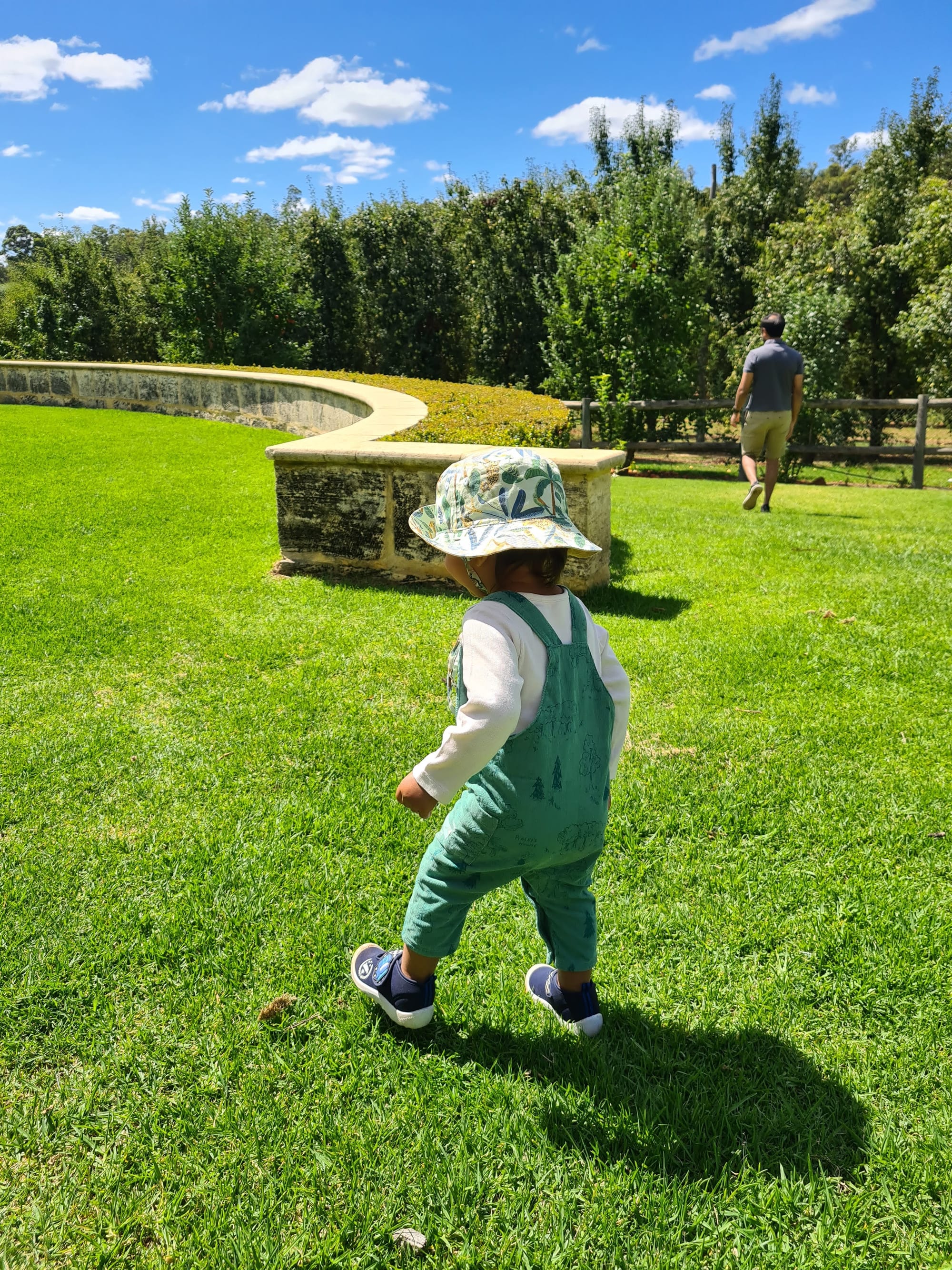 Early walker, taking more confident steps. Source: Wild Nestlings