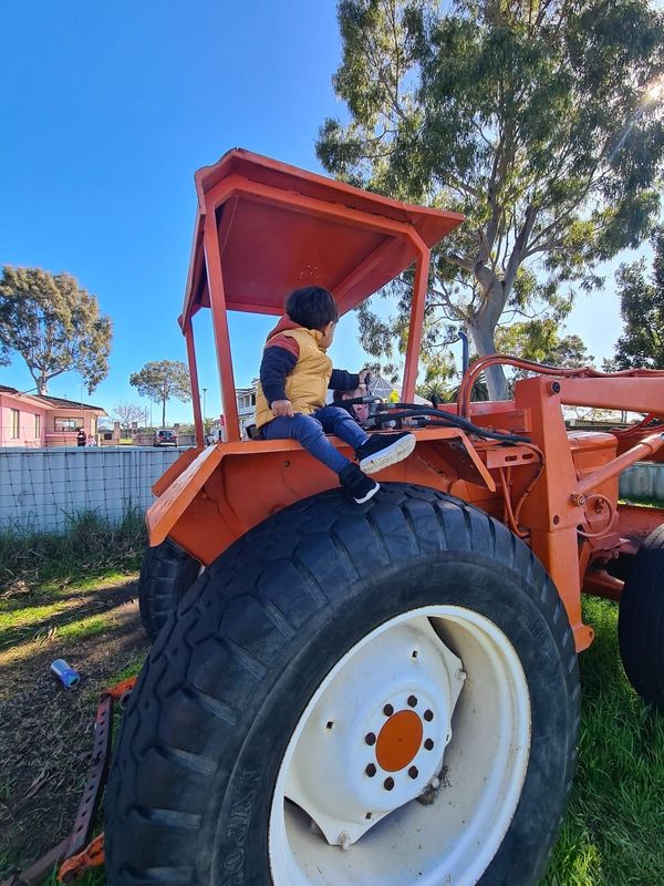 Chooks, coffee & playgrounds: Perth’s best farm cafes for a day out