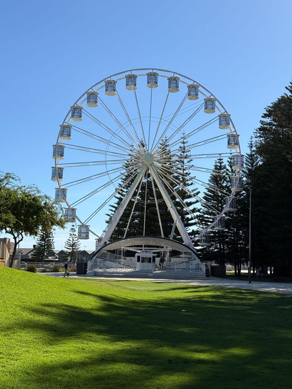 Family Day Out in Fremantle: What to See, Eat and Do With Kids