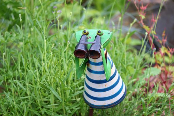 Is the Observer the Illusion?