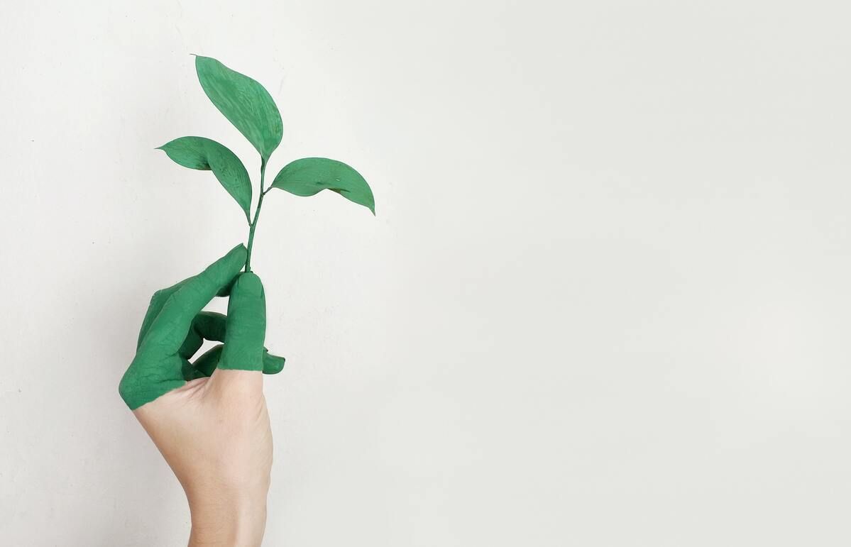 Les cartes, outils de sensibilisation aux effets de la consommation énergétique