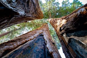 Community Virtual Resilience Hub