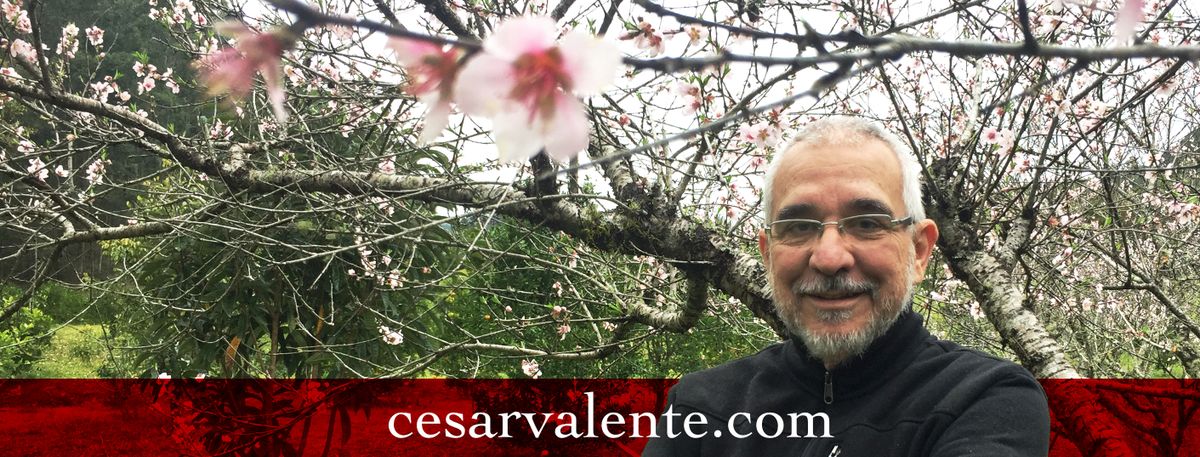 COMEÇAR DE NOVO