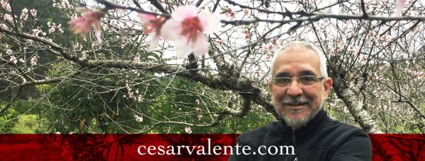 COMEÇAR DE NOVO