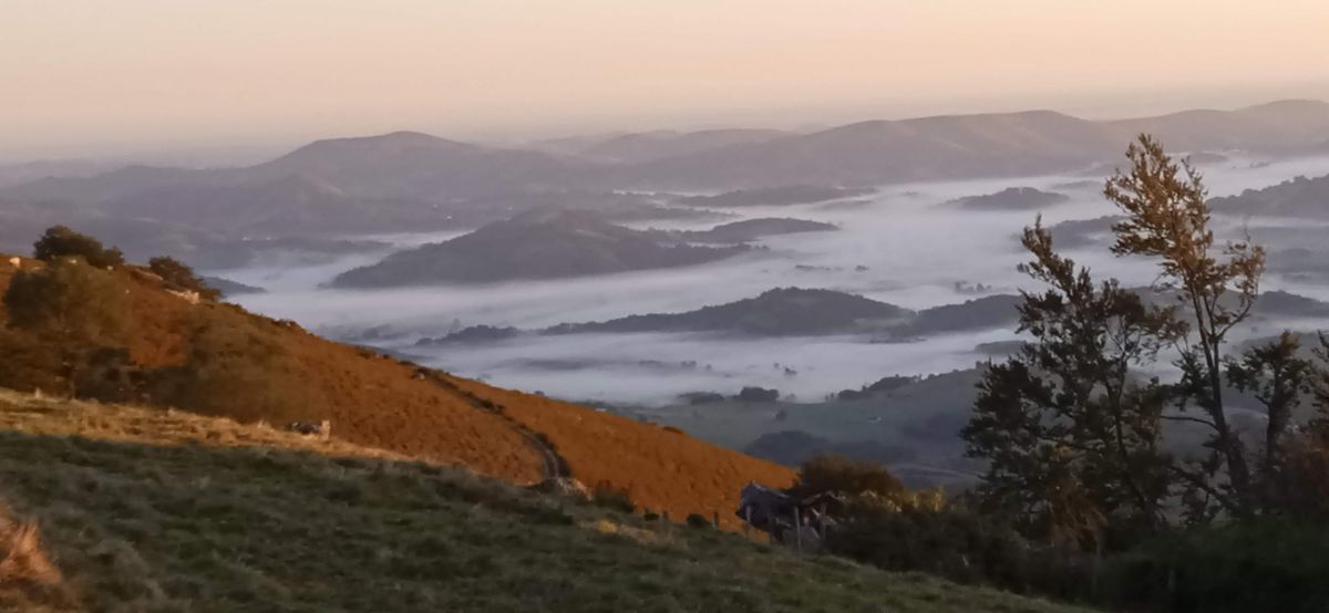 How did our Journey bring us here?