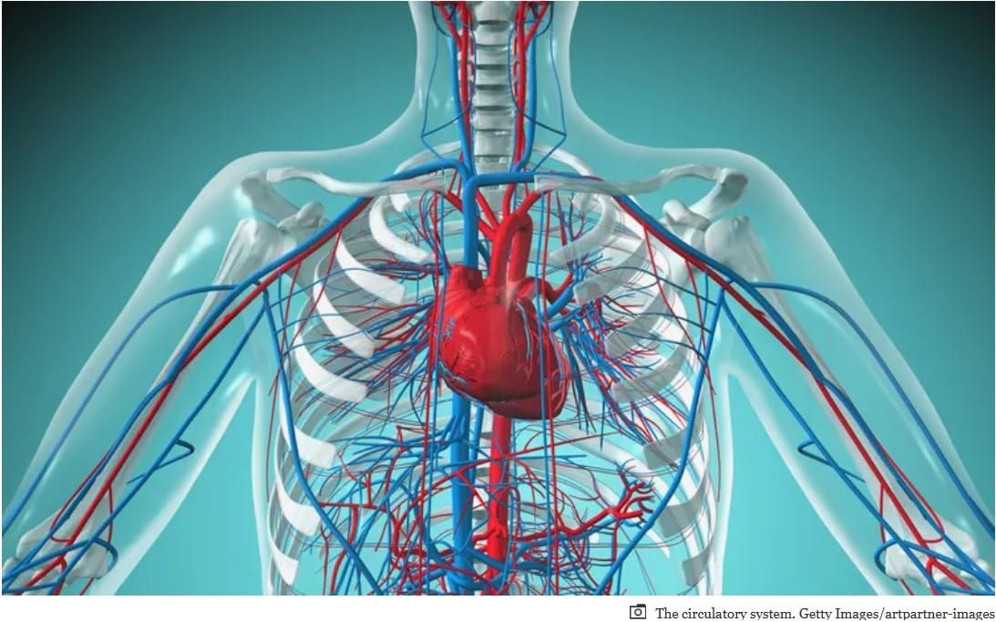 Aging and the Almighty Cardiovascular System
