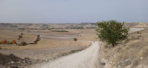 What is this thing "El Camino".