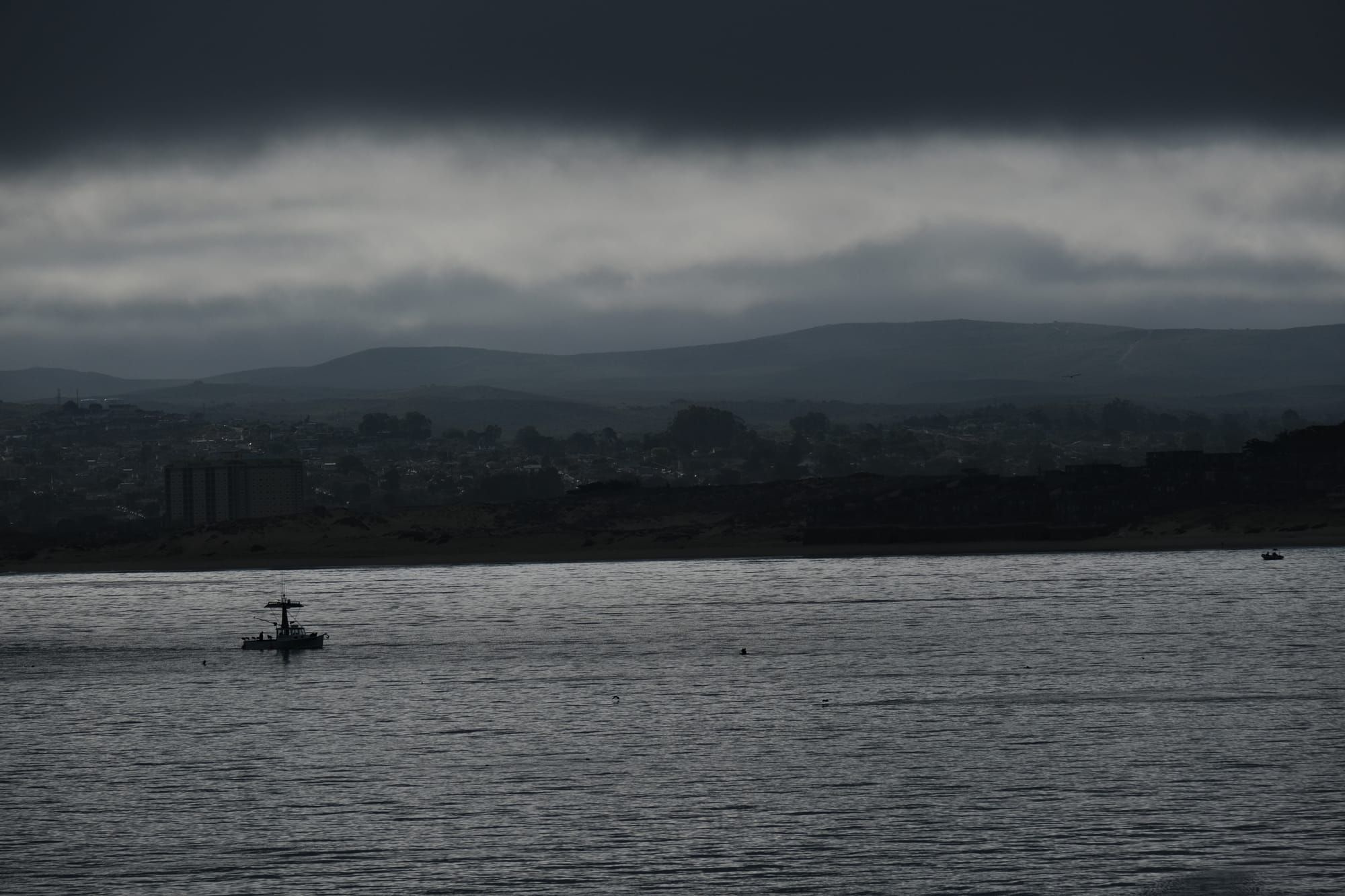 Dawn Patrol 8.8.25