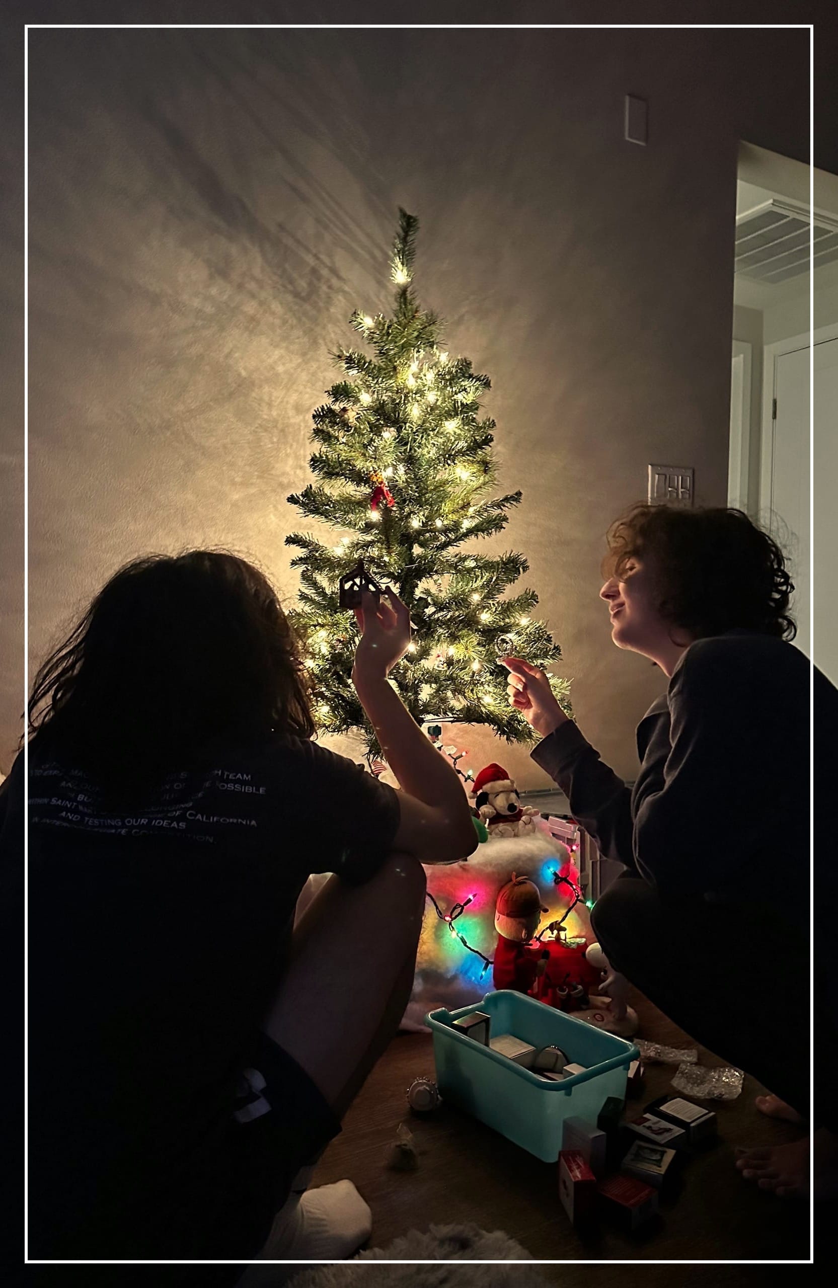 selective focus photography of baubles