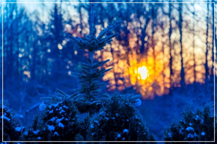 I've got my love to keep me warm (and a little light, too)