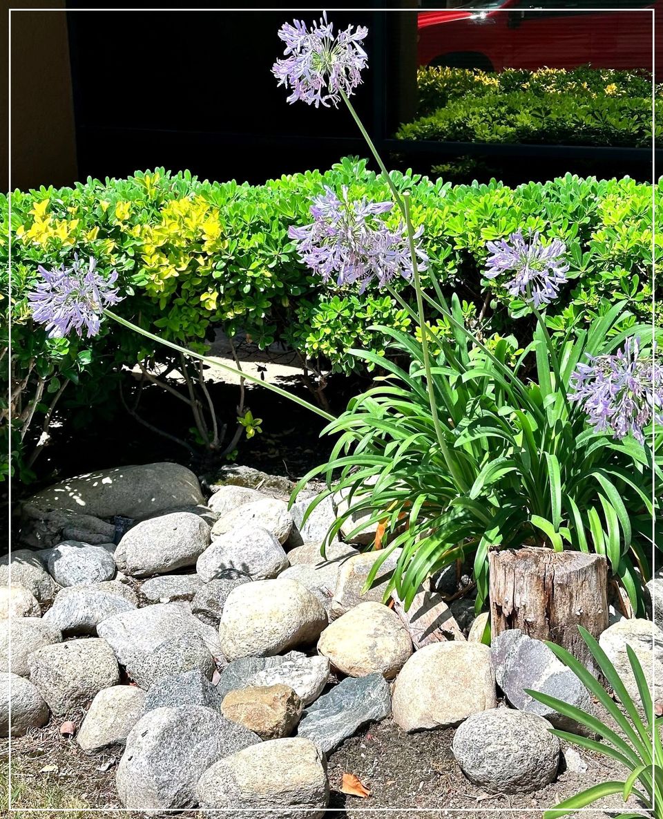 Stoking a Summer Slow Down