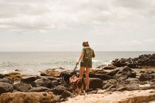 Salve (sal-way), amici!