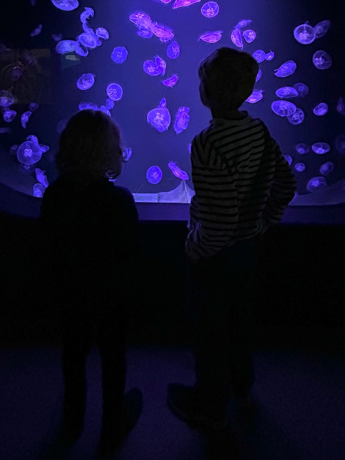Meeresmuseum Stralsund