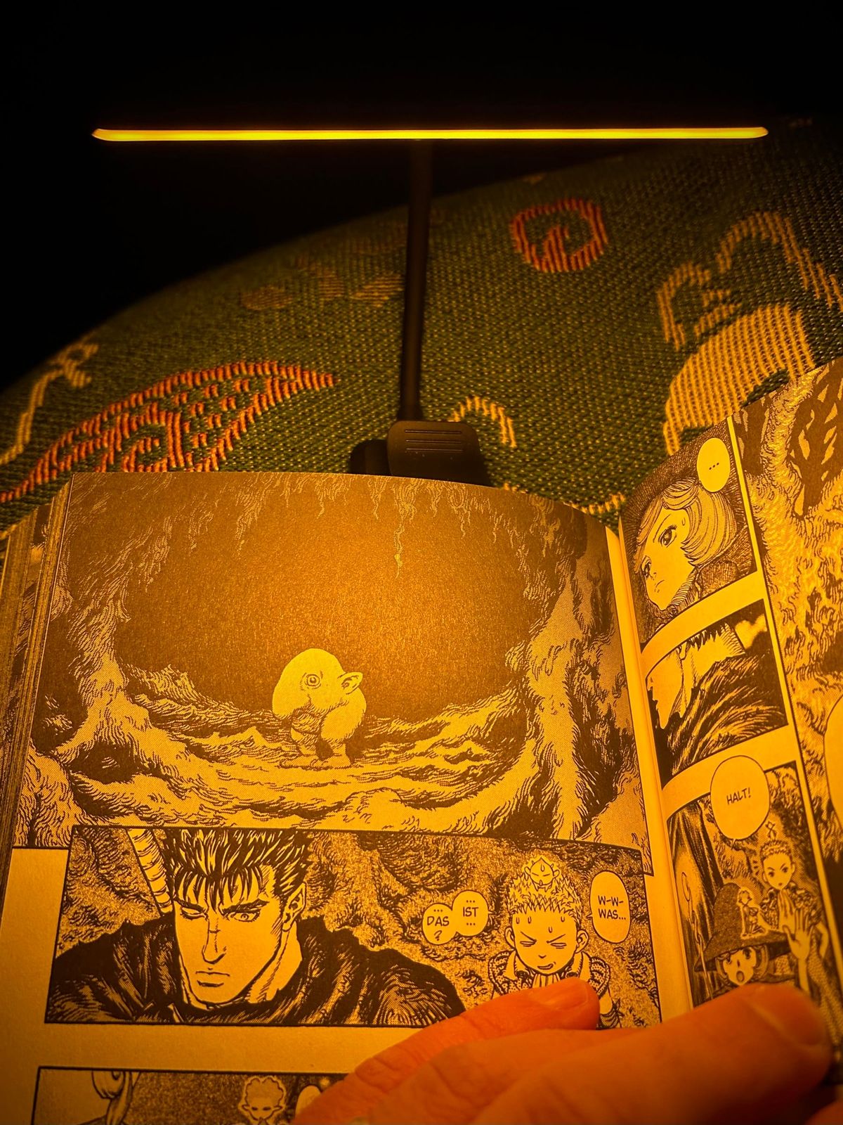 Seeing: Bought a little reading light for the night.