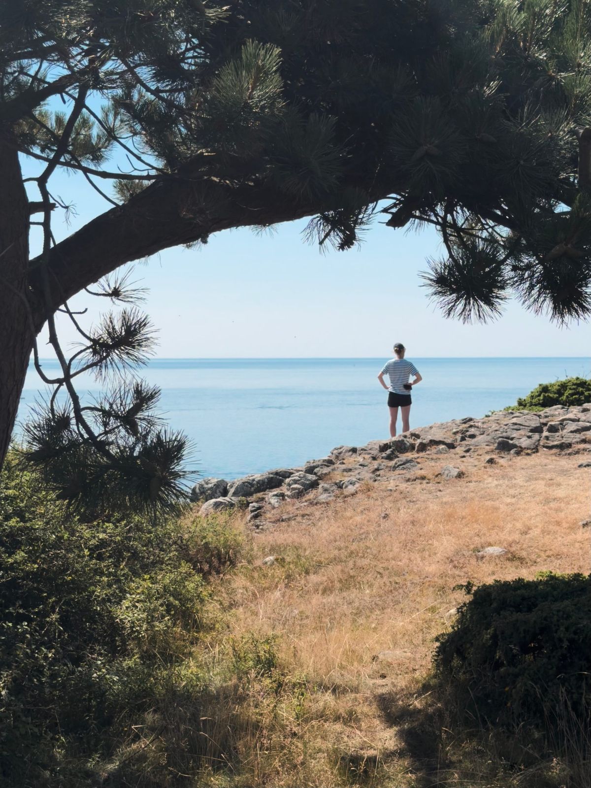 Looking at the sea
